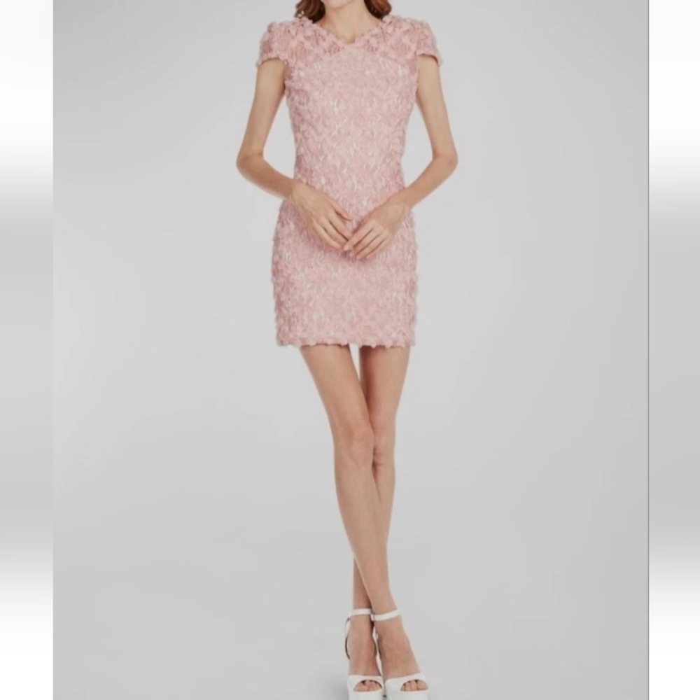 Tadashi Shoji Pink Floral Rose Mini, Sz 8, 16" PTP, 33" L